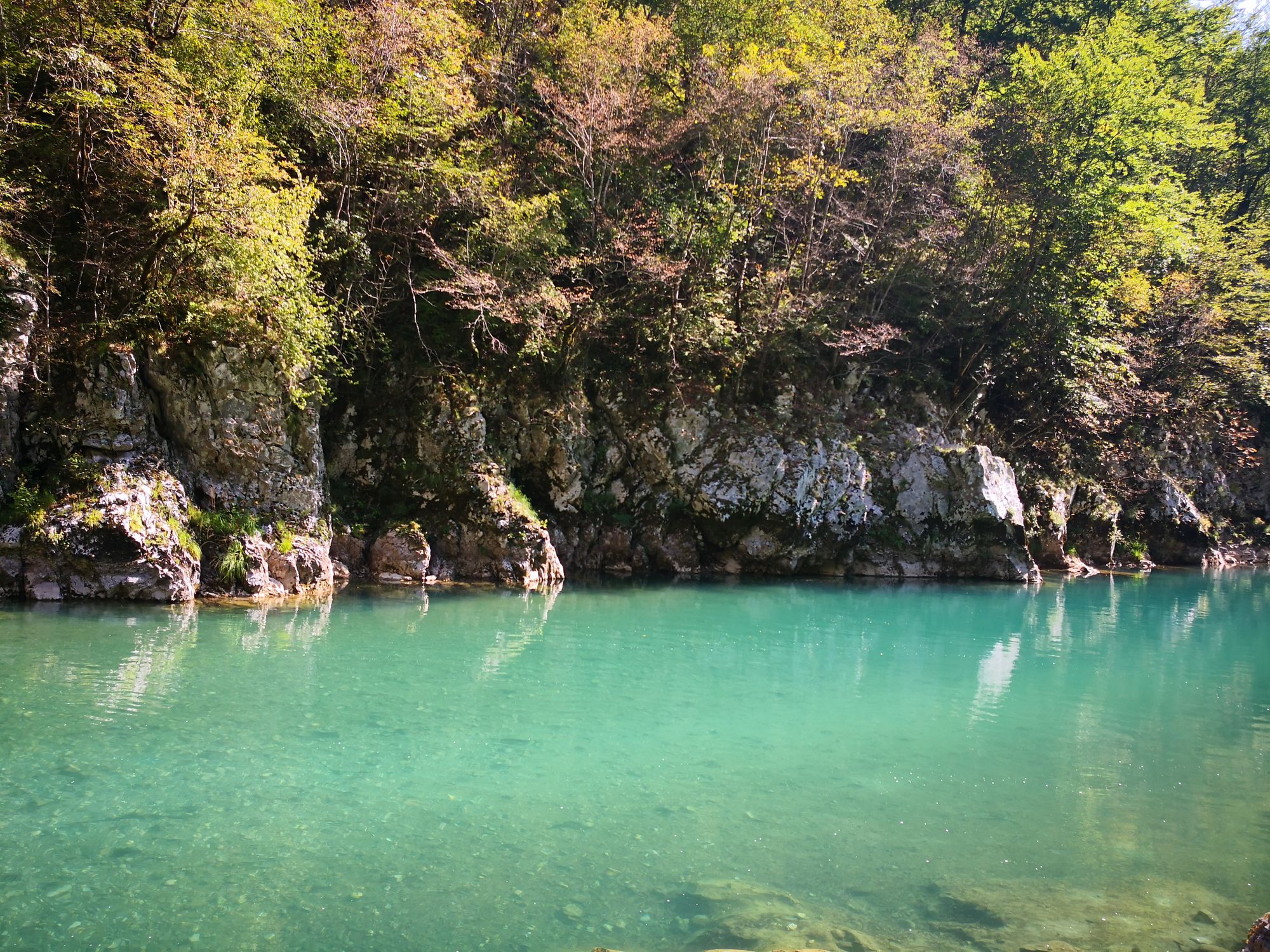 Monténégro #3 - Žabljak, Tara, Ćurevac