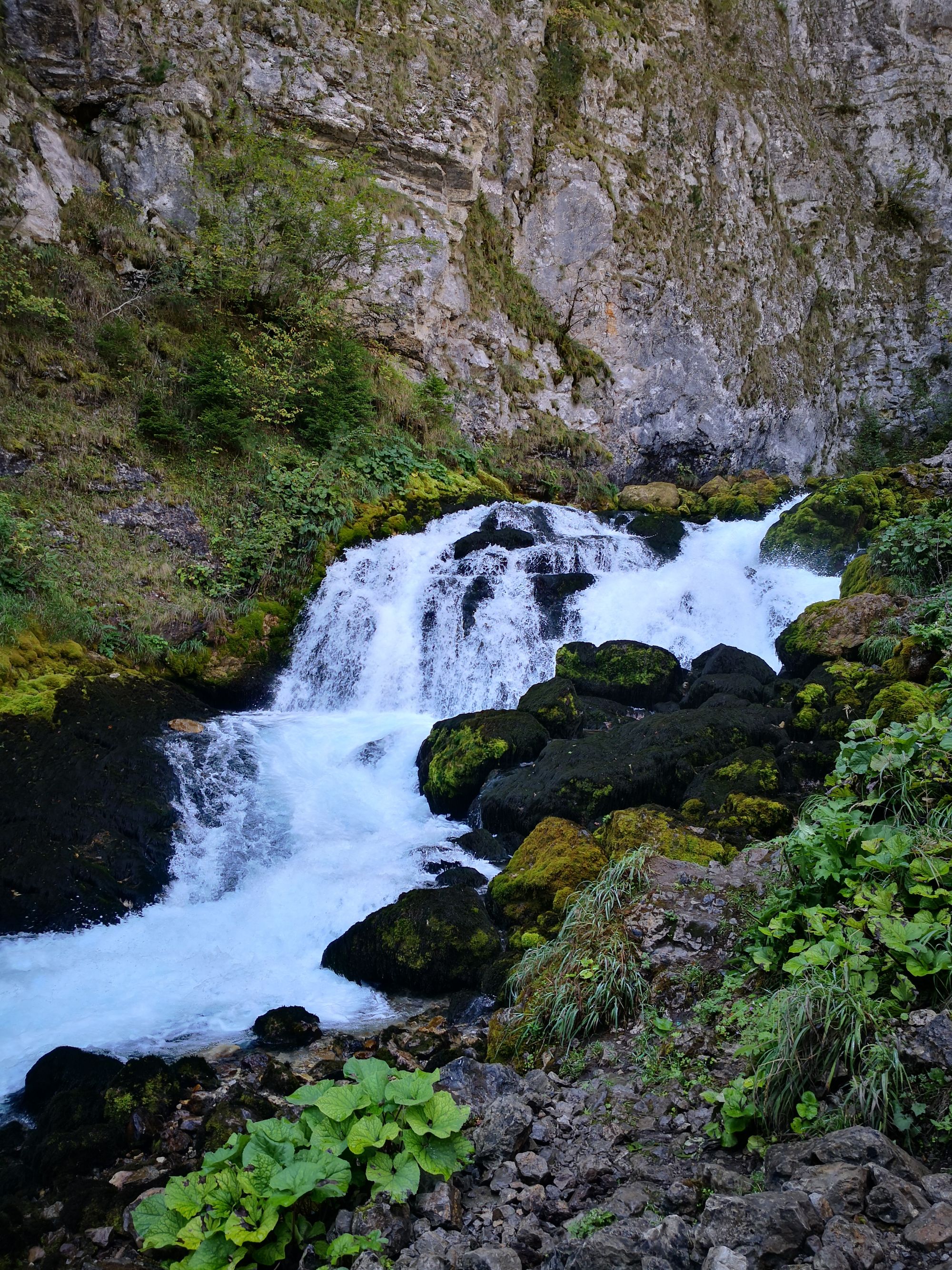 Monténégro #3 - Žabljak, Tara, Ćurevac