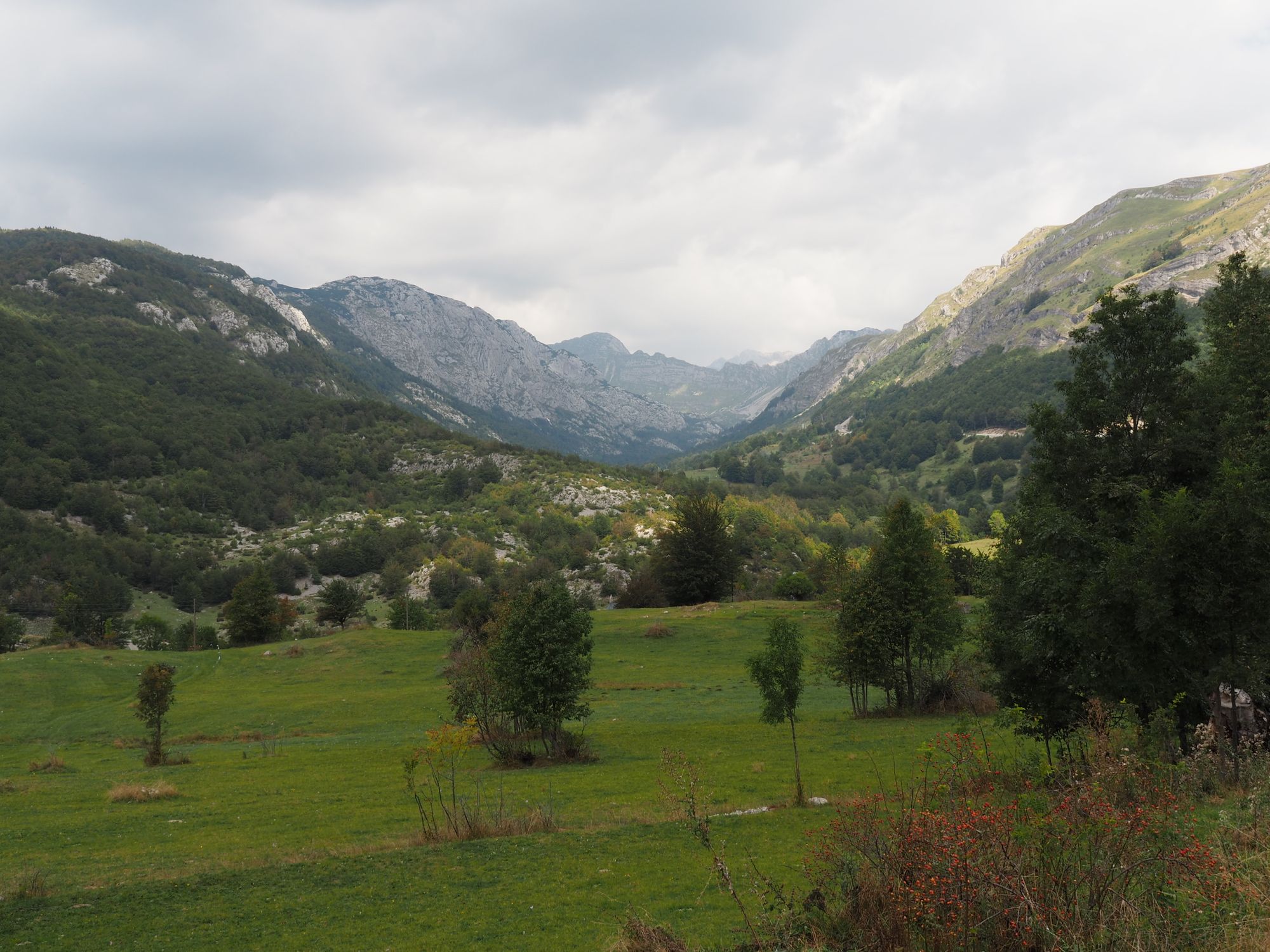 Monténégro #1 - Podgorica, Ostrog, Nikšić